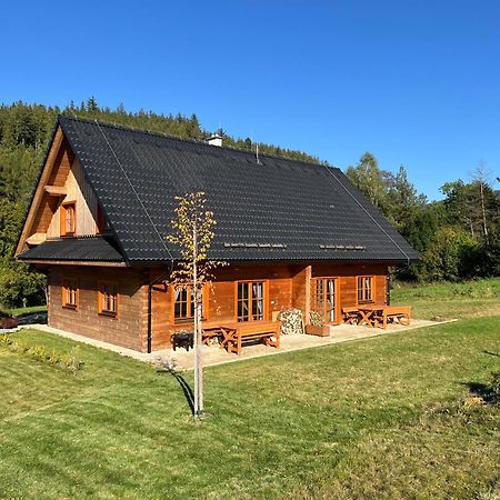 Apartmany Orlice Червена-Вода Экстерьер фото