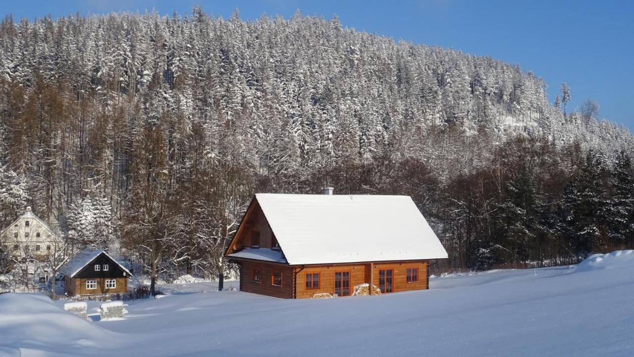 Apartmany Orlice Червена-Вода Экстерьер фото